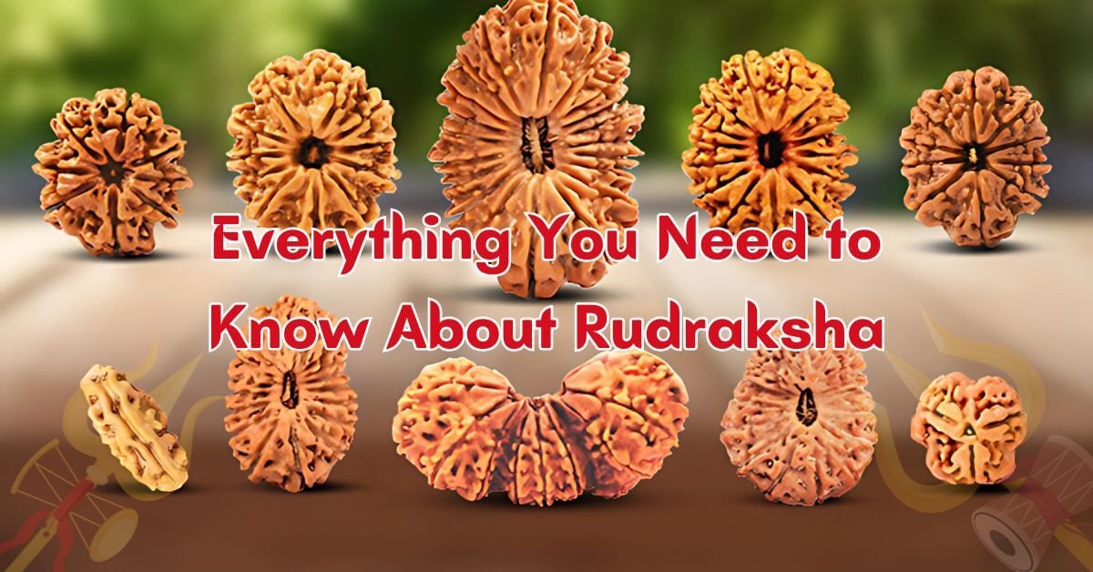 Everything You Need to Know About Rudraksha | Authentic Rudraksha beads from Rudraksham.in rudraksham.in-