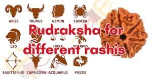 Rudraksha for Different Rashis