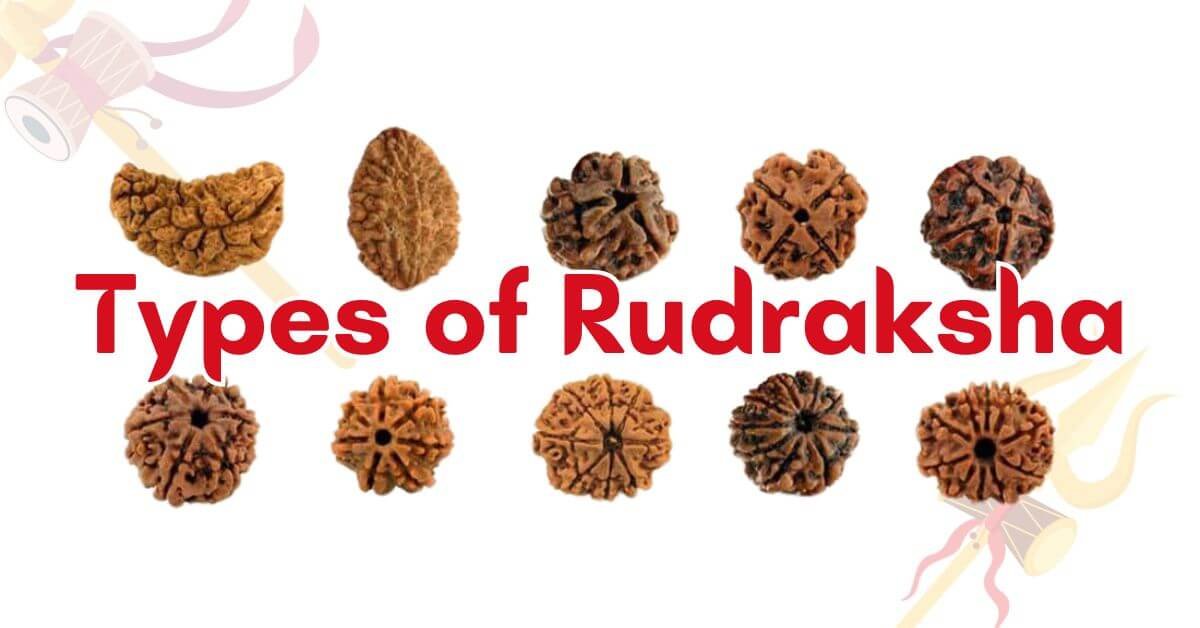 Types of Rudraksha | Authentic Rudraksha beads from Rudraksham.in