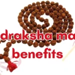 Rudraksha Mala Benefits: Why You Should Wear It 2025