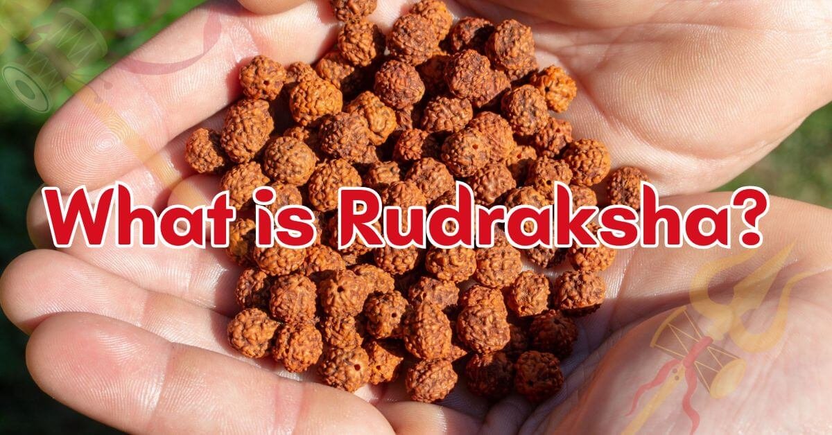 What is Rudraksha?